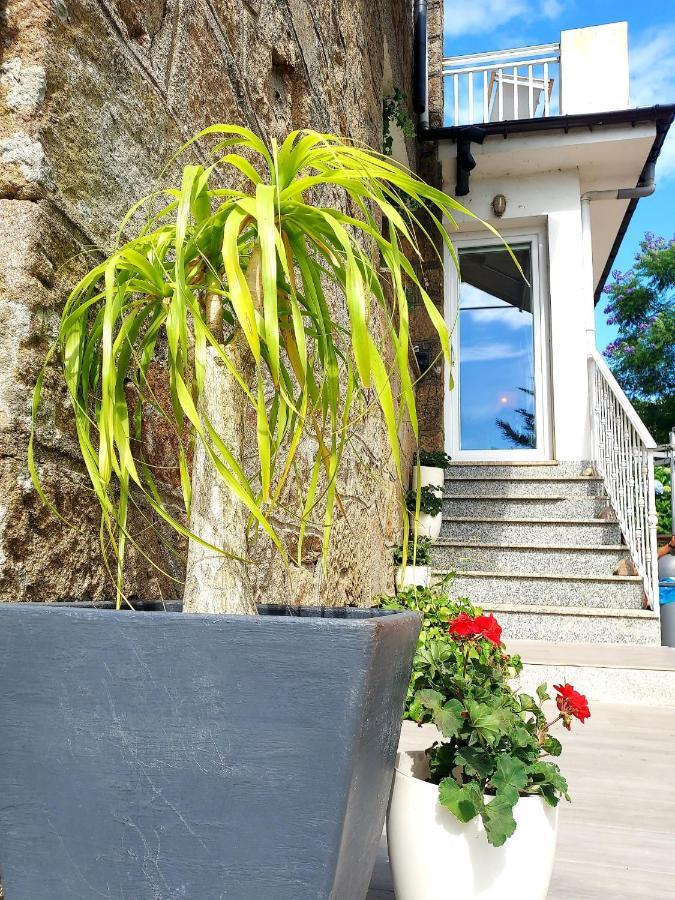 Villa Anselma, Casa Compartida Pontevedra Ngoại thất bức ảnh